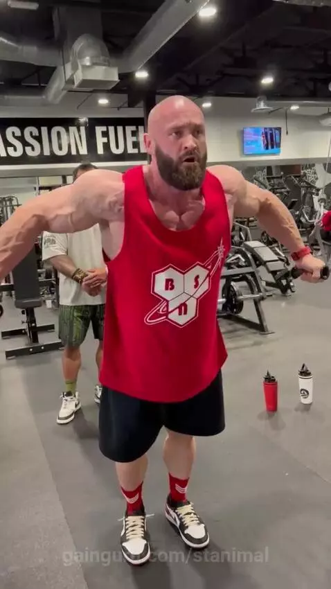 stanimal's post preview (muscle)