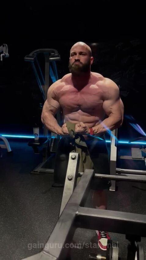 stanimal's post preview (muscle)