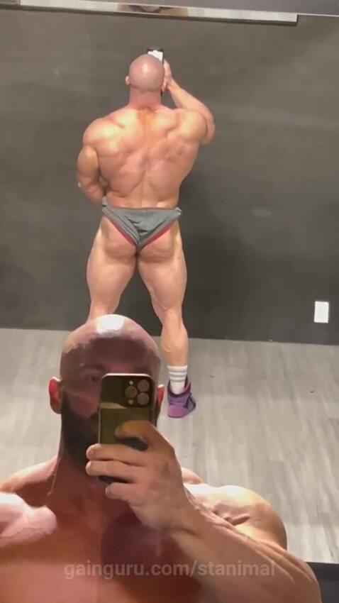 stanimal's post preview (bodybuilding)