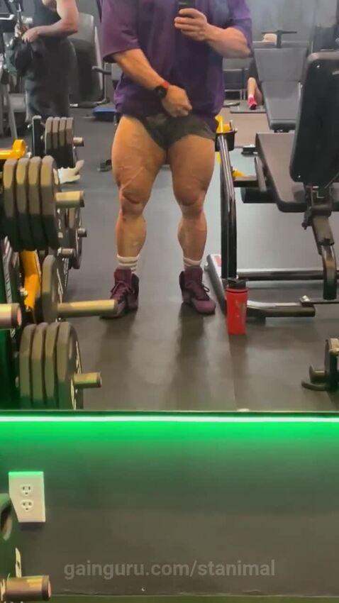 stanimal's post preview (legs)