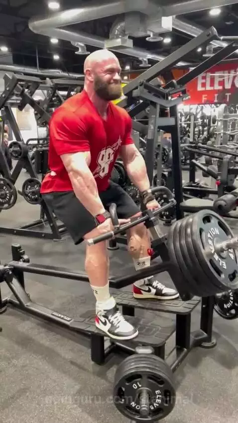 stanimal's post preview (backworkout)