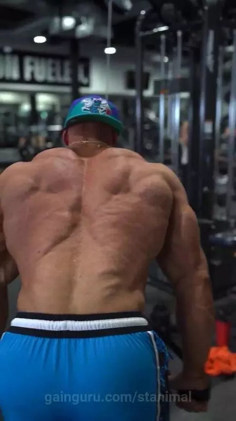 stanimal's post preview (backworkout)