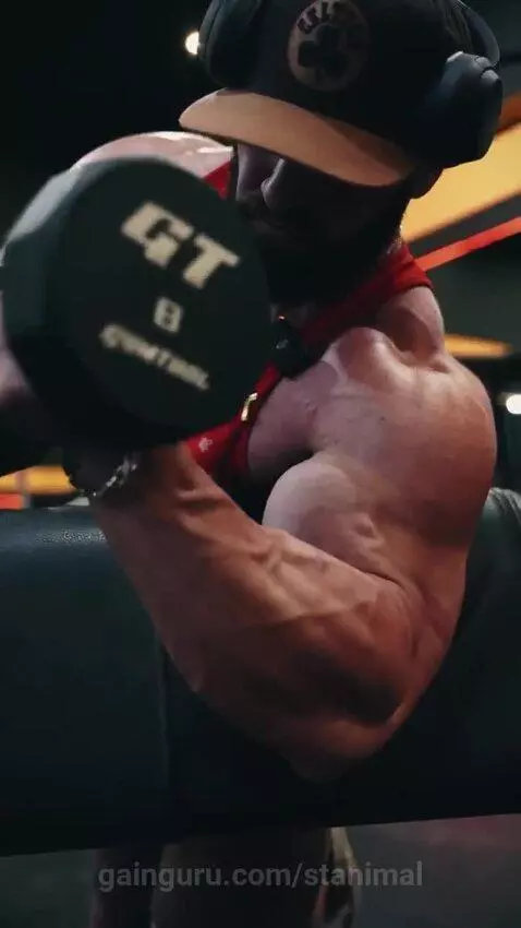 stanimal's post preview (biceps)