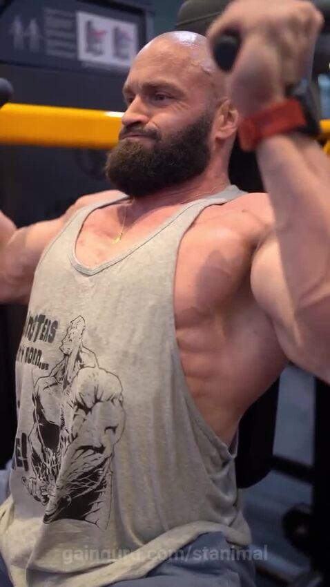 stanimal's post preview (delts)