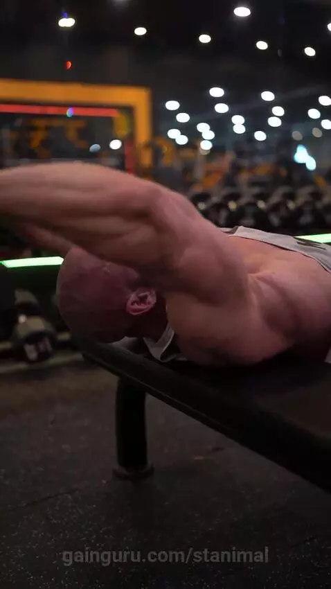 stanimal's post preview (backworkout)