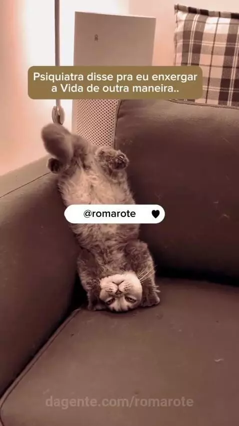 romarote's post preview (videoviral)