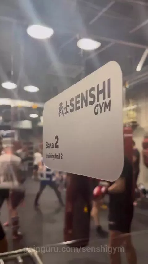 senshigym's post preview (training)